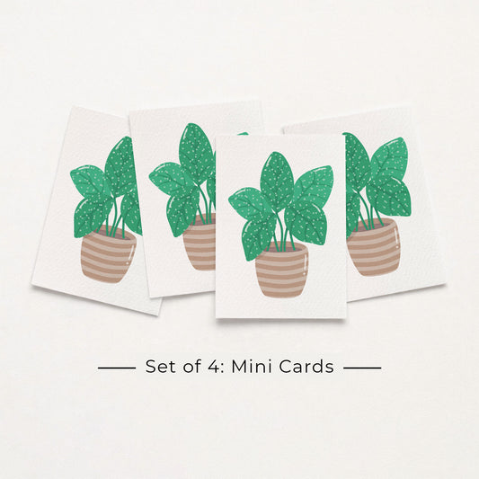 Set of 4: MINI Cards: Pot Plant