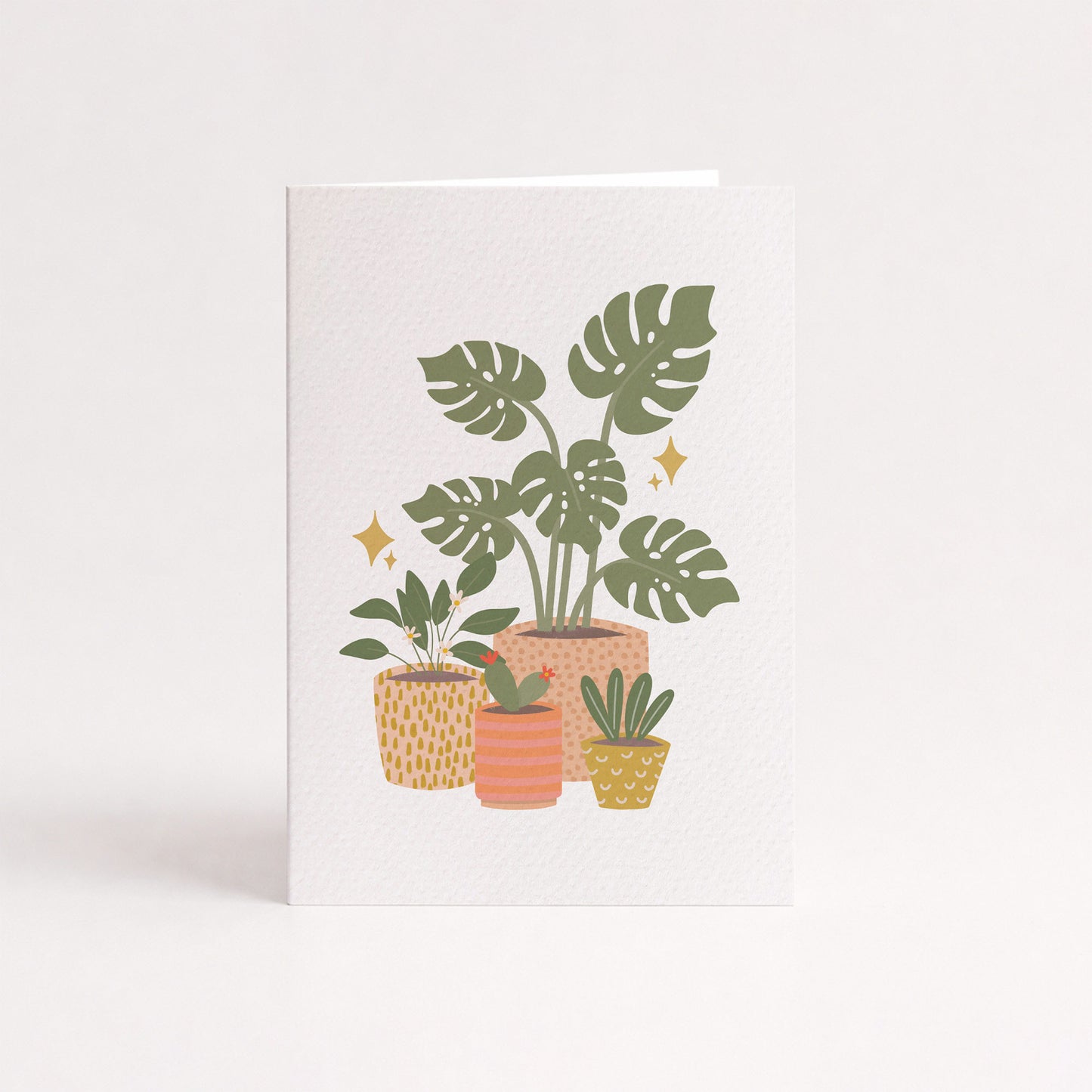 Single (1): MINI Card: Indoor Plant