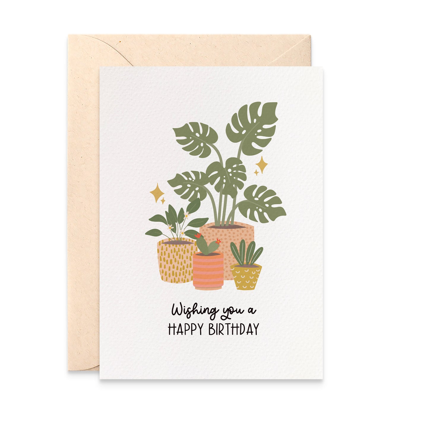Indoor Plants