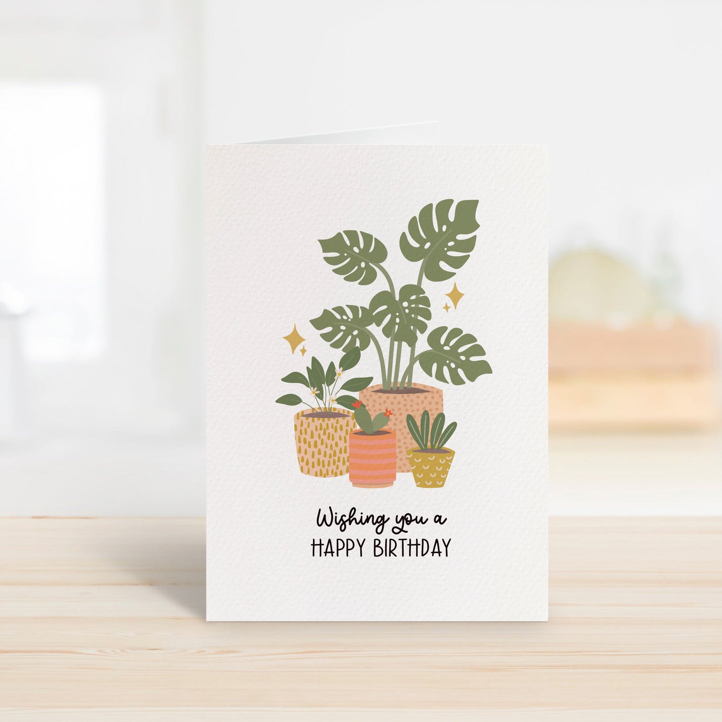 Indoor Plants