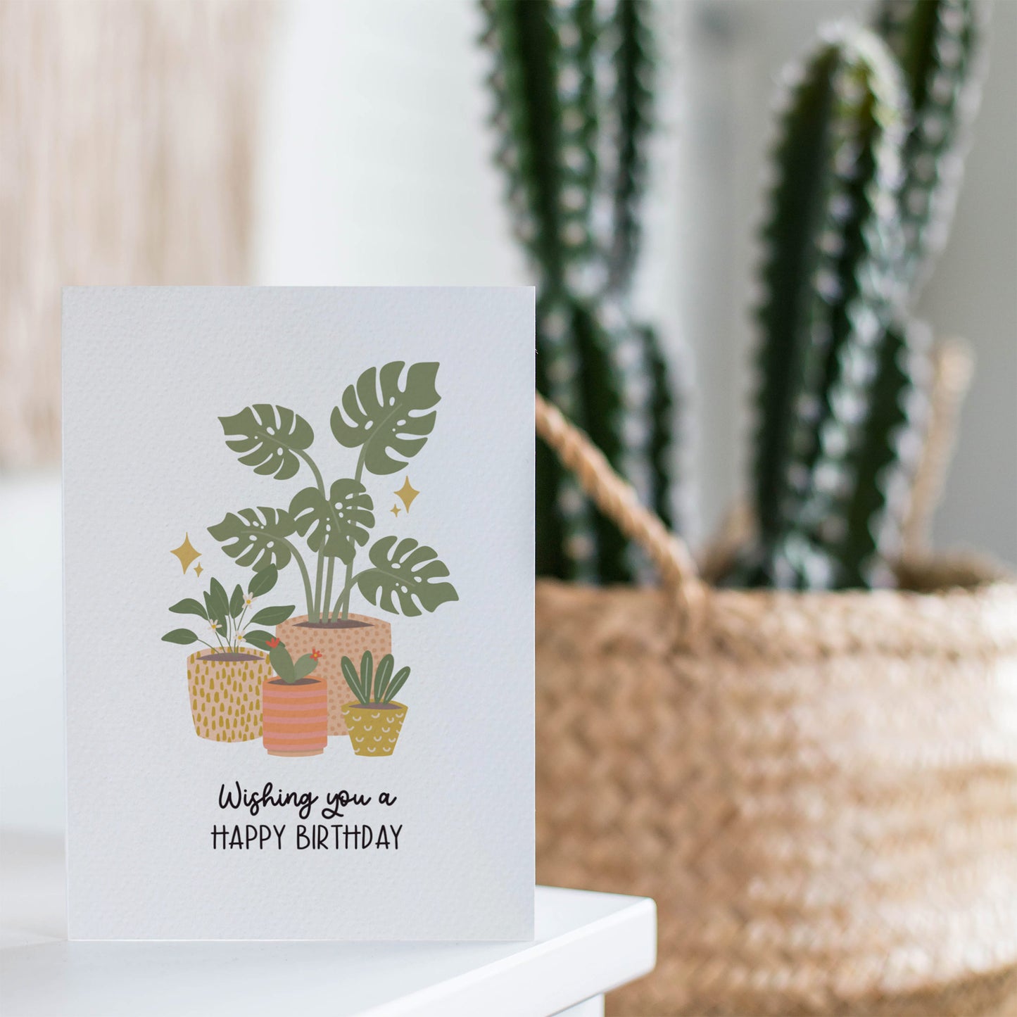 Indoor Plants