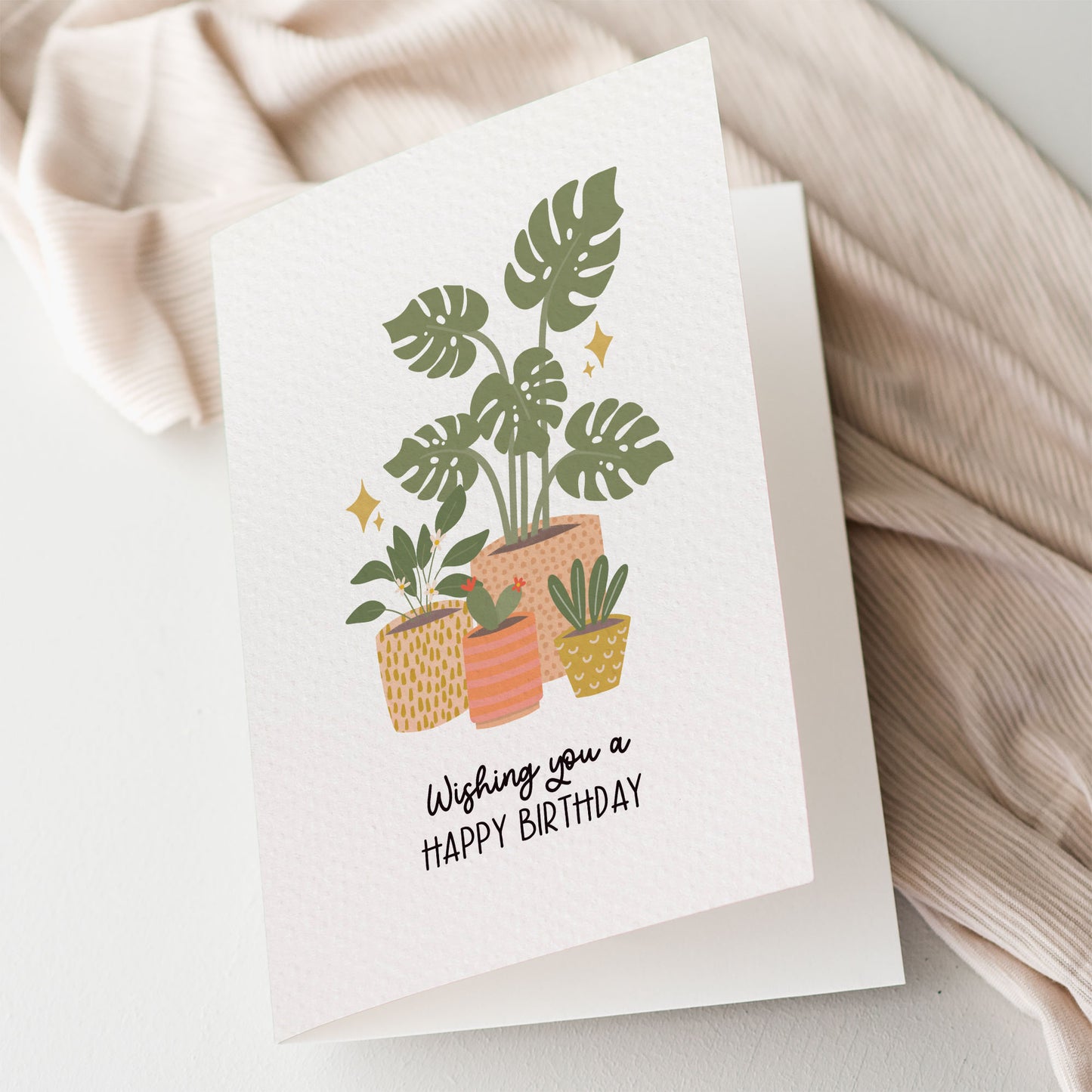 Indoor Plants