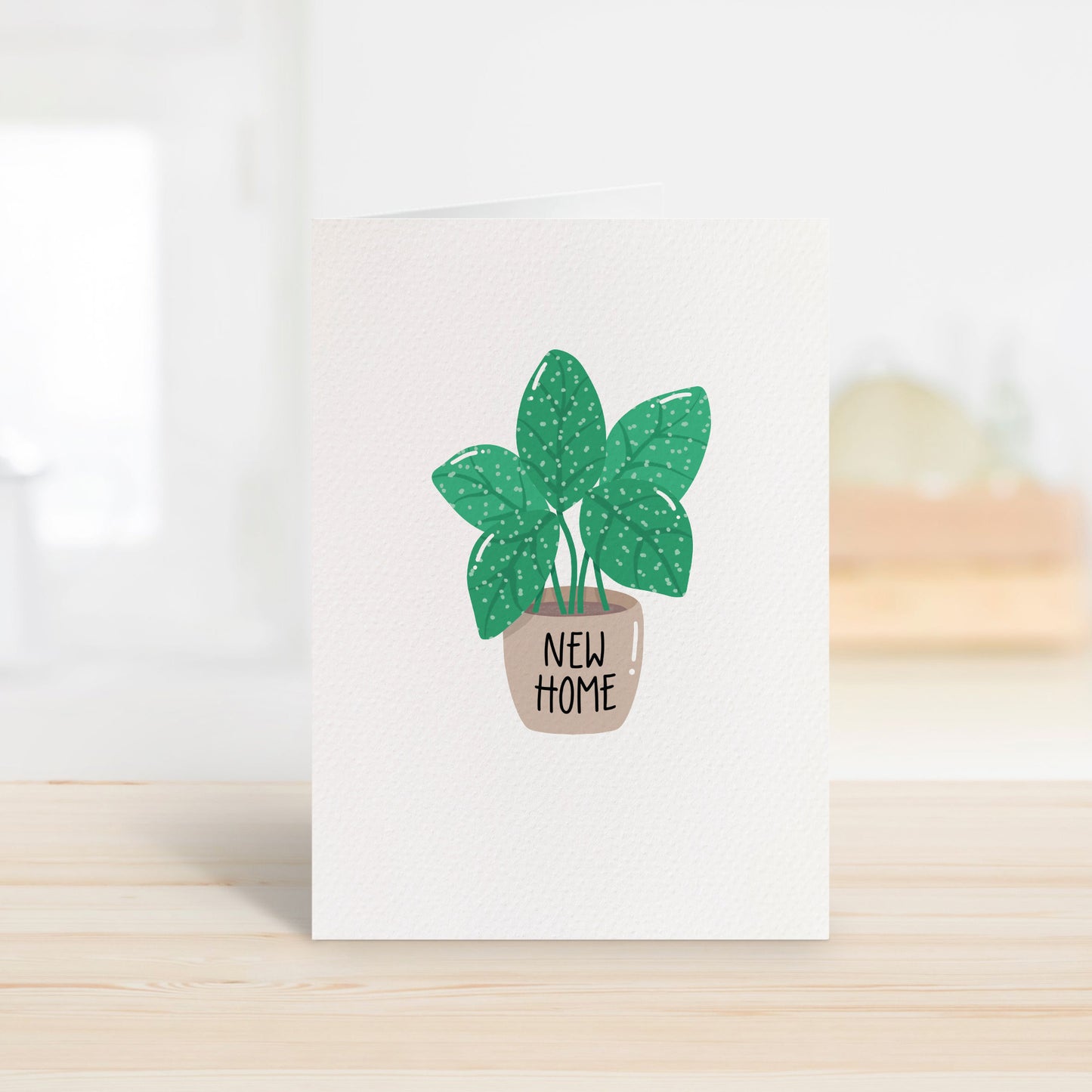New Home Indoor Plant
